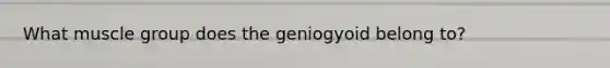 What muscle group does the geniogyoid belong to?