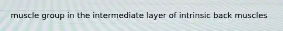muscle group in the intermediate layer of intrinsic back muscles