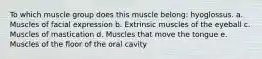 To which muscle group does this muscle belong: hyoglossus. a. Muscles of facial expression b. Extrinsic muscles of the eyeball c. Muscles of mastication d. Muscles that move the tongue e. Muscles of the floor of the oral cavity