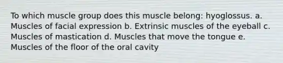 To which muscle group does this muscle belong: hyoglossus. a. Muscles of facial expression b. Extrinsic muscles of the eyeball c. Muscles of mastication d. Muscles that move the tongue e. Muscles of the floor of the oral cavity