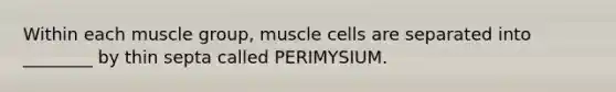 Within each muscle group, muscle cells are separated into ________ by thin septa called PERIMYSIUM.