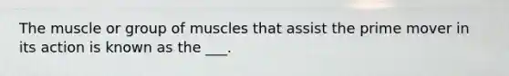 The muscle or group of muscles that assist the prime mover in its action is known as the ___.