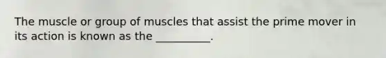 The muscle or group of muscles that assist the prime mover in its action is known as the __________.