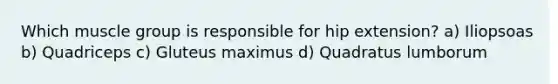 Which muscle group is responsible for hip extension? a) Iliopsoas b) Quadriceps c) Gluteus maximus d) Quadratus lumborum