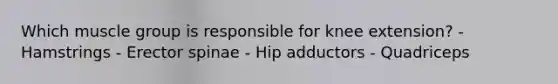 Which muscle group is responsible for knee extension? - Hamstrings - Erector spinae - Hip adductors - Quadriceps