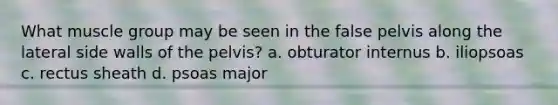 What muscle group may be seen in the false pelvis along the lateral side walls of the pelvis? a. obturator internus b. iliopsoas c. rectus sheath d. psoas major