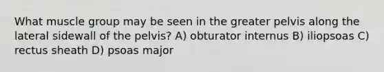 What muscle group may be seen in the greater pelvis along the lateral sidewall of the pelvis? A) obturator internus B) iliopsoas C) rectus sheath D) psoas major