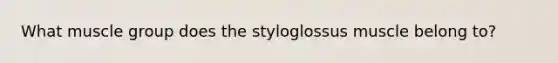 What muscle group does the styloglossus muscle belong to?