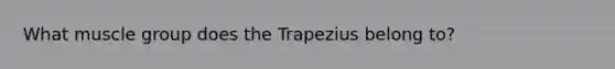 What muscle group does the Trapezius belong to?