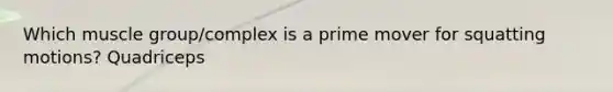 Which muscle group/complex is a prime mover for squatting motions? Quadriceps