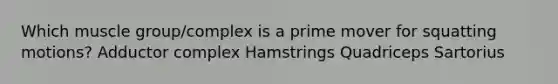 Which muscle group/complex is a prime mover for squatting motions? Adductor complex Hamstrings Quadriceps Sartorius