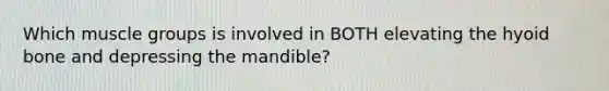Which muscle groups is involved in BOTH elevating the hyoid bone and depressing the mandible?