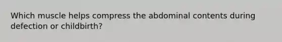 Which muscle helps compress the abdominal contents during defection or childbirth?