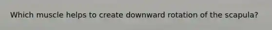 Which muscle helps to create downward rotation of the scapula?