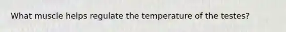 What muscle helps regulate the temperature of the testes?