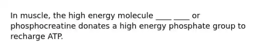 In muscle, the high energy molecule ____ ____ or phosphocreatine donates a high energy phosphate group to recharge ATP.