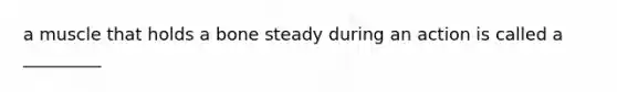 a muscle that holds a bone steady during an action is called a _________