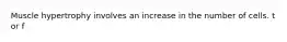 Muscle hypertrophy involves an increase in the number of cells. t or f