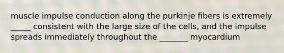 muscle impulse conduction along the purkinje fibers is extremely _____ consistent with the large size of the cells, and the impulse spreads immediately throughout the _______ myocardium