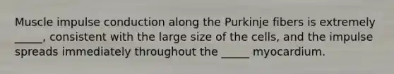 Muscle impulse conduction along the Purkinje fibers is extremely _____, consistent with the large size of the cells, and the impulse spreads immediately throughout the _____ myocardium.