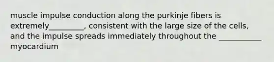muscle impulse conduction along the purkinje fibers is extremely_________, consistent with the large size of the cells, and the impulse spreads immediately throughout the ___________ myocardium
