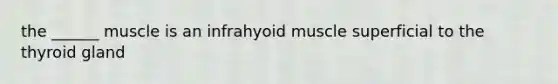 the ______ muscle is an infrahyoid muscle superficial to the thyroid gland