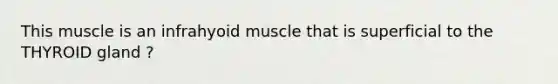 This muscle is an infrahyoid muscle that is superficial to the THYROID gland ?