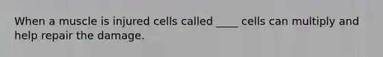 When a muscle is injured cells called ____ cells can multiply and help repair the damage.