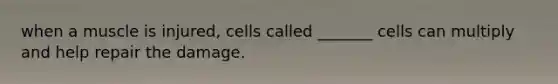 when a muscle is injured, cells called _______ cells can multiply and help repair the damage.