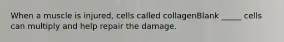 When a muscle is injured, cells called collagenBlank _____ cells can multiply and help repair the damage.