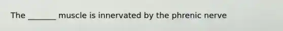 The _______ muscle is innervated by the phrenic nerve
