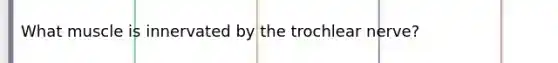 What muscle is innervated by the trochlear nerve?