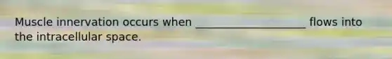 Muscle innervation occurs when ____________________ flows into the intracellular space.