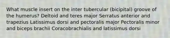 What muscle insert on the inter tubercular (bicipital) groove of the humerus? Deltoid and teres major Serratus anterior and trapezius Latissimus dorsi and pectoralis major Pectoralis minor and biceps brachii Coracobrachialis and latissimus dorsi