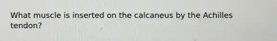 What muscle is inserted on the calcaneus by the Achilles tendon?