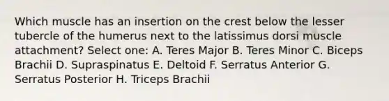 Which muscle has an insertion on the crest below the lesser tubercle of the humerus next to the latissimus dorsi muscle attachment? Select one: A. Teres Major B. Teres Minor C. Biceps Brachii D. Supraspinatus E. Deltoid F. Serratus Anterior G. Serratus Posterior H. Triceps Brachii