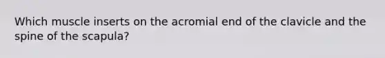 Which muscle inserts on the acromial end of the clavicle and the spine of the scapula?