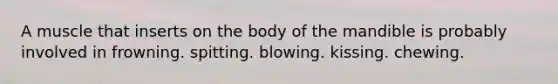 A muscle that inserts on the body of the mandible is probably involved in frowning. spitting. blowing. kissing. chewing.