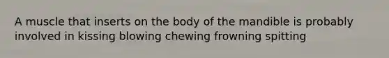 A muscle that inserts on the body of the mandible is probably involved in kissing blowing chewing frowning spitting