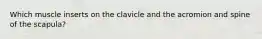 Which muscle inserts on the clavicle and the acromion and spine of the scapula?