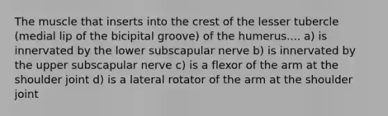 The muscle that inserts into the crest of the lesser tubercle (medial lip of the bicipital groove) of the humerus.... a) is innervated by the lower subscapular nerve b) is innervated by the upper subscapular nerve c) is a flexor of the arm at the shoulder joint d) is a lateral rotator of the arm at the shoulder joint