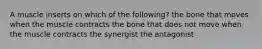 A muscle inserts on which of the following? the bone that moves when the muscle contracts the bone that does not move when the muscle contracts the synergist the antagonist