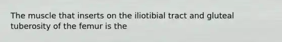 The muscle that inserts on the iliotibial tract and gluteal tuberosity of the femur is the