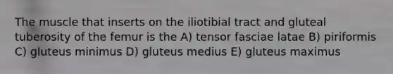 The muscle that inserts on the iliotibial tract and gluteal tuberosity of the femur is the A) tensor fasciae latae B) piriformis C) gluteus minimus D) gluteus medius E) gluteus maximus