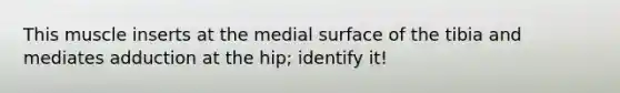 This muscle inserts at the medial surface of the tibia and mediates adduction at the hip; identify it!