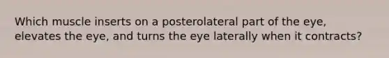 Which muscle inserts on a posterolateral part of the eye, elevates the eye, and turns the eye laterally when it contracts?