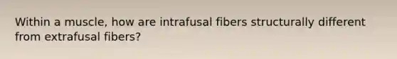 Within a muscle, how are intrafusal fibers structurally different from extrafusal fibers?