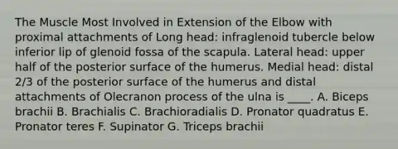 The Muscle Most Involved in Extension of the Elbow with proximal attachments of Long head: infraglenoid tubercle below inferior lip of glenoid fossa of the scapula. Lateral head: upper half of the posterior surface of the humerus. Medial head: distal 2/3 of the posterior surface of the humerus and distal attachments of Olecranon process of the ulna is ____. A. Biceps brachii B. Brachialis C. Brachioradialis D. Pronator quadratus E. Pronator teres F. Supinator G. Triceps brachii