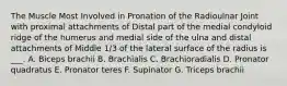 The Muscle Most Involved in Pronation of the Radioulnar Joint with proximal attachments of Distal part of the medial condyloid ridge of the humerus and medial side of the ulna and distal attachments of Middle 1/3 of the lateral surface of the radius is ___. A. Biceps brachii B. Brachialis C. Brachioradialis D. Pronator quadratus E. Pronator teres F. Supinator G. Triceps brachii
