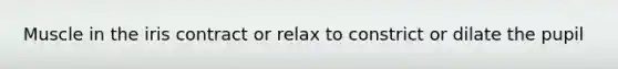 Muscle in the iris contract or relax to constrict or dilate the pupil